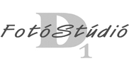 logo_d1_studio