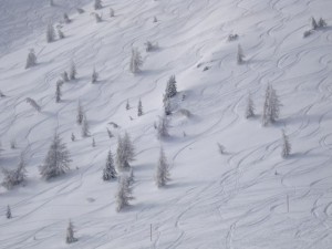 Németh Gábor - Téli sípálya