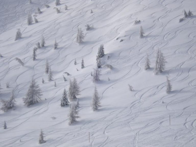 Németh Gábor - Téli sípálya