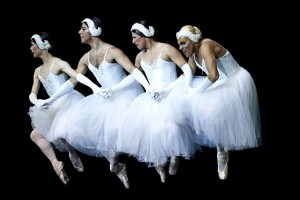 Hajdú D. András - The trocks