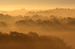 Krivánszky Árpad - Tarpai napkelte