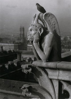 Brassai: Notre Dame, ördög és galamb 1936