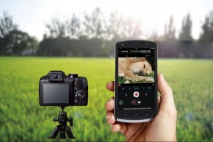 FujiFilm Finepix S9900W remote