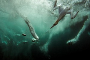 Canon Iconic Images winner: Visionary Changes