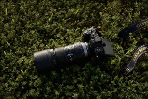 Olympus M.ZUIKO DIGITAL ED 300mm 1:4.0 IS PRO