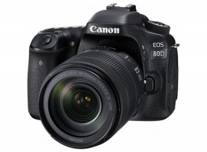 Canon EOS 80D and EF-S 18-135mm f/3.5-5.6 IS USM