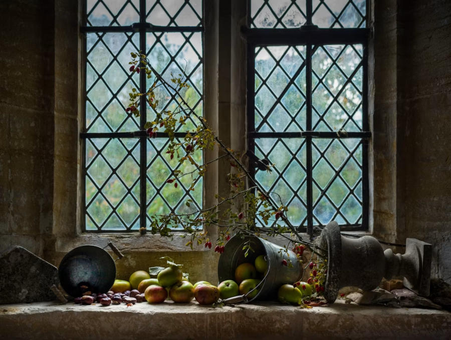 Still Life Photography Guide: Composition & Lighting