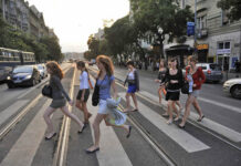 Teknős Miklós Teknős Miklós - Lipótváros