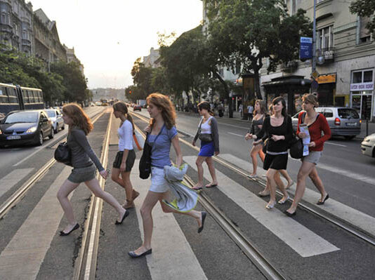 Teknős Miklós Teknős Miklós - Lipótváros