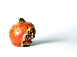 Steiner Gábor – Fények és árnyékok Steiner Gábor – Fények és árnyékok