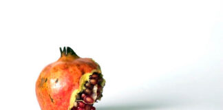 Steiner Gábor – Fények és árnyékok Steiner Gábor – Fények és árnyékok