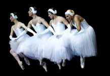 Hajdú D. András Hajdú D. András - The trocks