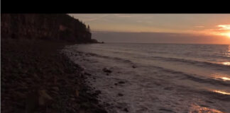 Minden pillanat számít – Nikon D810 rövidfilm Minden pillanat számít