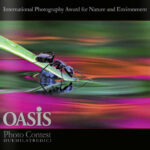 Oasis nemzetközi természetfotó pályázat 2014 Oasis Nemzetközi Természetfotó Pályázat