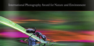 Oasis nemzetközi természetfotó pályázat 2014 Oasis Nemzetközi Természetfotó Pályázat