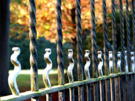 Pien Wilbrink Pien Wilbrink - utcai fotózás