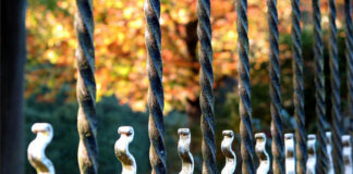 Pien Wilbrink Pien Wilbrink - utcai fotózás