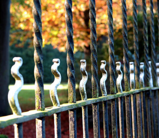 Pien Wilbrink Pien Wilbrink - utcai fotózás