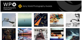 2015 Sony World Photography Award eredményhirdetés WPO fotópályázat eredményhirdetés