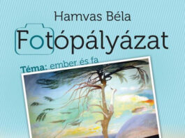 Hamvas Béla fotópályázat Hamvas Béla fotópályázat