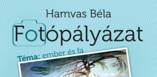 Hamvas Béla fotópályázat Hamvas Béla fotópályázat
