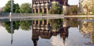Ligetem – Szabadtéri fotókiállítás a Városligetben Ligetem - Szabadtéri fotókiállítás a Városligetben