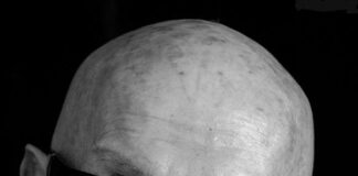 Meghalt Szipál Márton fotóművész Meghalt Szipál Márton fotóművész