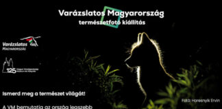 Az ország legszebb természetfotói egy kiállításon Varázslatos Magyarország fotókiállítás