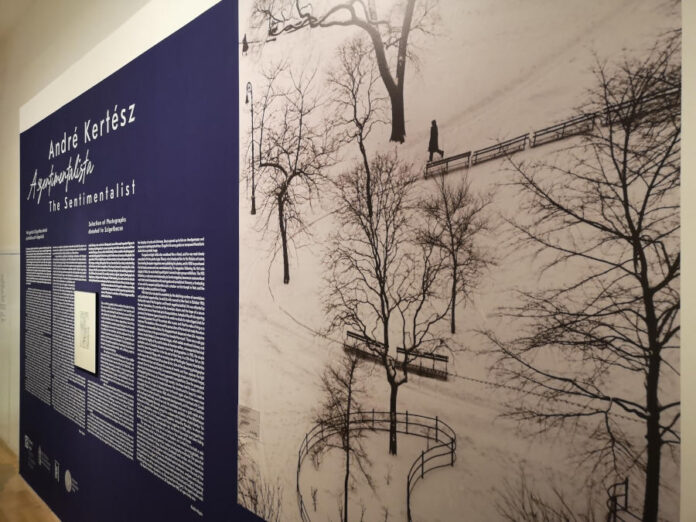 André Kertész – A szentimentalista fotókiállítás