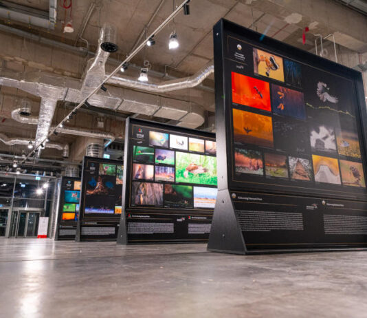 Az év természetfotósa pályázat a Varázslatos Magyarországnál folytatódik Az év természetfotósa pályázat átigazol a Varázslatos Magyarországhoz