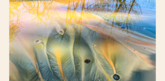 Kihirdették a HUAWEI XMAGE 2025 fotóverseny győzteseit Gheorghe Popa: Éteri vonalak - Huawei Xmage fotópályázat