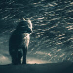 A Sony World Photography Awards kihirdette a 2026-os Nyílt verseny kategóriagyőzteseit és döntőseit TERMÉSZET ÉS VADVILÁG nyertese: Klaus Hellmich (Németország) - Sony World Photography Awards 2026