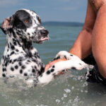 4 egyszerű tudatos jelenlét gyakorlat a Streetfotózásban Streetfotó tippek - Sivák Zsófia - Photonet