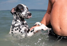4 egyszerű tudatos jelenlét gyakorlat a Streetfotózásban Streetfotó tippek - Sivák Zsófia - Photonet