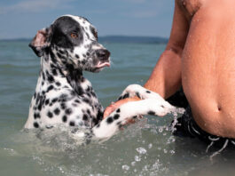 4 egyszerű tudatos jelenlét gyakorlat a Streetfotózásban Streetfotó tippek - Sivák Zsófia - Photonet