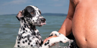 4 egyszerű tudatos jelenlét gyakorlat a Streetfotózásban Streetfotó tippek - Sivák Zsófia - Photonet