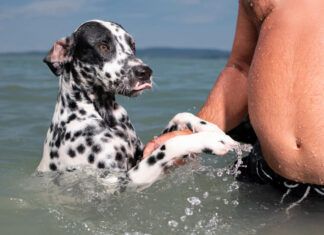 4 egyszerű tudatos jelenlét gyakorlat a Streetfotózásban Streetfotó tippek - Sivák Zsófia - Photonet