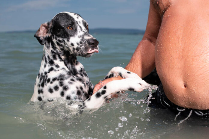 Streetfotó tippek - Sivák Zsófia - Photonet