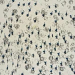 Csodás természet, a természet csodái fotópályázat 2026 Csodás természet, a természet csodái fotópályázat 2026