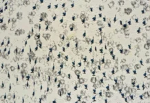 Csodás természet, a természet csodái fotópályázat 2026 Csodás természet, a természet csodái fotópályázat 2026