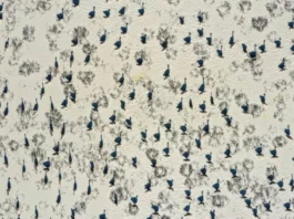 Csodás természet, a természet csodái fotópályázat 2026 Csodás természet, a természet csodái fotópályázat 2026