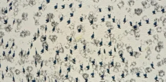 Csodás természet, a természet csodái fotópályázat 2026 Csodás természet, a természet csodái fotópályázat 2026