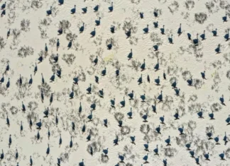 Csodás természet, a természet csodái fotópályázat 2026