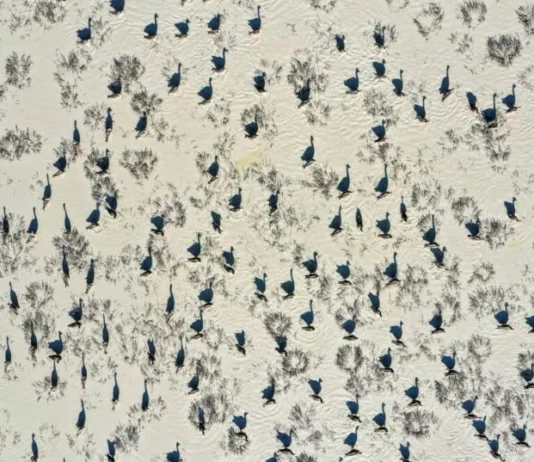 Csodás természet, a természet csodái fotópályázat 2026 Csodás természet, a természet csodái fotópályázat 2026