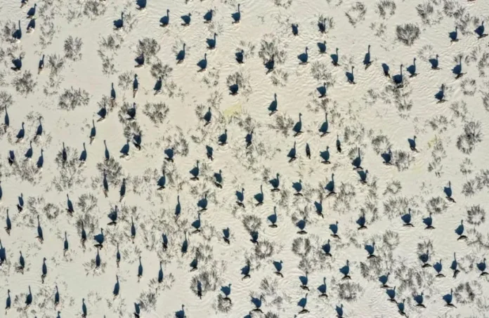 Csodás természet, a természet csodái fotópályázat 2026